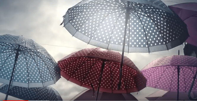 Histórias reais em mini-web&nbsp;DOCs